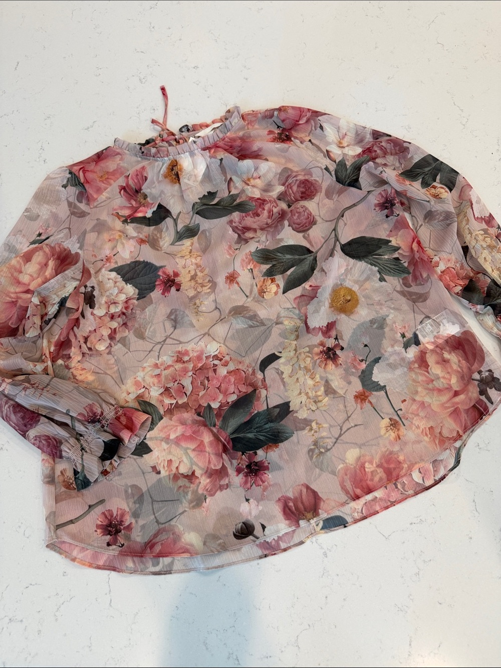 H&M Sheer Pink Floral Ruffle-Neck Blouse